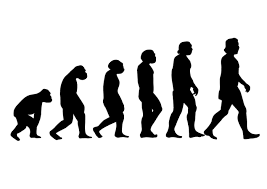 Evolution''s march of progress